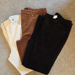 Talbots Corduroy Pants Trio in Black, Brown, and Cream. Size 14.